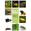 NAC, les nouveaux animaux de compagnie