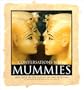 Conversations with Mummies: New Light on the Lives of the Ancient Egyptians