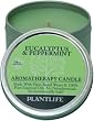 Eucalyptus & Peppermint Aromatherapy Candle- Made with 100% pure essential oils - 3oz tin