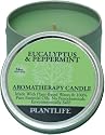 Eucalyptus & Peppermint Aromatherapy Candle- Made with 100% pure essential oils - 3oz tin