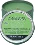 Eucalyptus & Peppermint Aromatherapy Candle- Made with 100% pure essential oils - 3oz tin