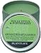 Eucalyptus & Peppermint Aromatherapy Candle- 24 hr. burn time- made with 100% pure essential oils