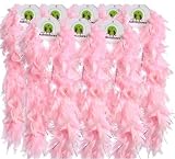 Princess Party Favor Gift Set - 8 Boas