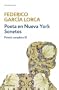 Poesia complena de Federico Garcia Lorca, vol. 2 (Contemporanea) (Spanish Edition)