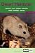Dwarf Hamster (About Pets)