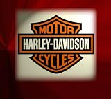 Harley Davidson Logo Graphics Custom Photo Mouse Pad, Mat. Personalize with Your Own Text. NEW