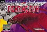 Fighting Fish