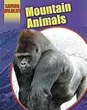 Mountain animals