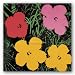 (38x38) Andy Warhol Flowers Red Pink Yellow 1964 Art Print Poster