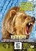 World's Most Dangerous Animals - Bears [DVD]