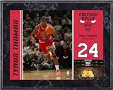 Tyrus Thomas Chicago Bulls 8x10 Color Plaque