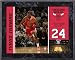 Tyrus Thomas Chicago Bulls 8x10 Color Plaque