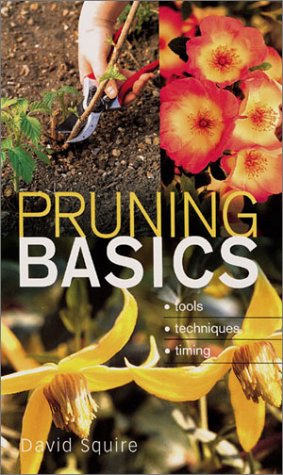pruning basics tools  techniques  timing
