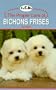 Proper Care of Bichon Frise