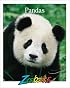 Giant Pandas (Zoobooks Series)