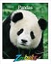Giant Pandas (Zoobooks Series)