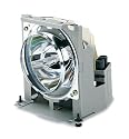 Replacement Lamp Module for PJ503D