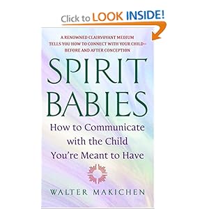 spirit babies book
