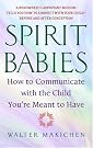 Spirit Babies: How...