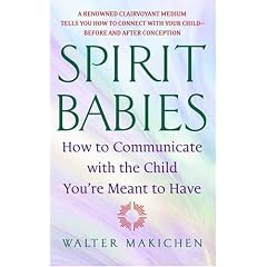 Spirit Babies: How to Communicate with the Child You're Meant to Have