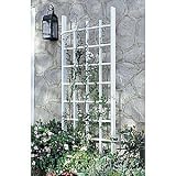 Princeton Trellis