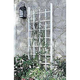 Princeton Trellis by Arbors and Trellises
