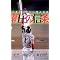 SHINJO�i�V�����u�j���X�g