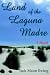 Books : Land of the Laguna Madre: A Novel