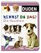 Duden Kennst du das? Die Haustiere