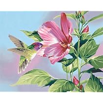 Paint by Number Hibiscus Hummingbird