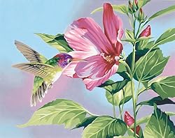 Dimensions PaintWorks/Paint By Number Hibiscus Hummingbird