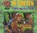 Book Sundews: A Sweet and Sticky Death (Bloodthirsty Plants)