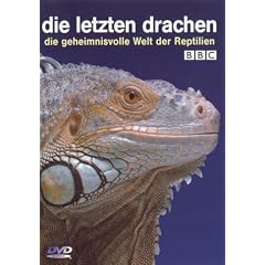 Die letzten Drachen