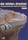 Eigenschaften Komplett Video  / Die letzten Drachen