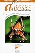 Guide des araignees et opilions d'europe