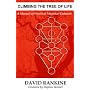 Climbing the Tree of Life: A Manual of Practical Magickal Qabalah