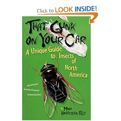 That Gunk on Your Car: A Unique Guide to the Insects of North America