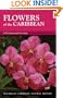 Flowers of the Caribbean (Macmillan Caribbean Natural History)