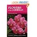 Flowers of the Caribbean (Macmillan Caribbean Natural History)