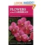 Flowers of the Caribbean (Macmillan Caribbean Natural History)