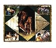 Horse Lovers Throw Blanket