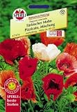 Eigenschaften Sperli  / Türkischer Mohn, Pizzicato Mischung