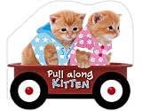 Pull Along Kittens