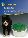 Eigenschaften Kiepenkerl - Rasen  / Katzengras