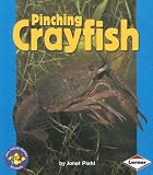 Pinching Crayfish (Pull Ahead Books)