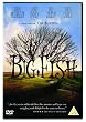 Big Fish [DVD] [2004]