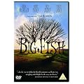 Big Fish [DVD] [2004]