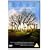 Big Fish [DVD] [2004]