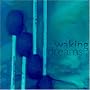 Waking Dreams
