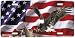 Patriotic Power - Bald Eagle Decor Art Print - License Plate Tag By Nancy Glazier From Airstrike